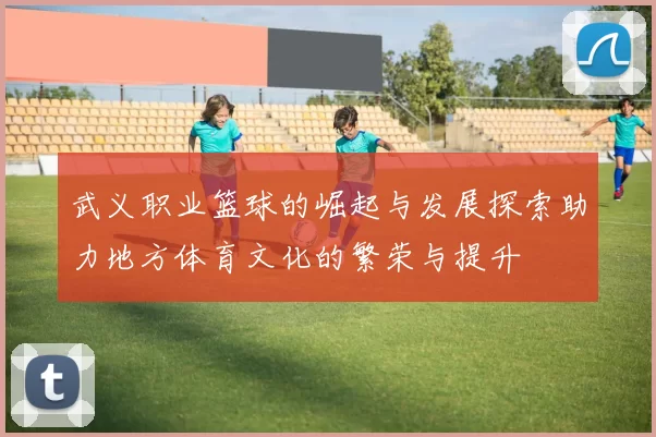 武义职业篮球的崛起与发展探索助力地方体育文化的繁荣与提升