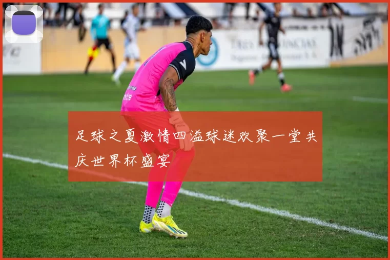 足球之夏激情四溢球迷欢聚一堂共庆世界杯盛宴