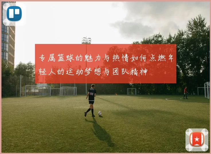 专属篮球的魅力与热情如何点燃年轻人的运动梦想与团队精神