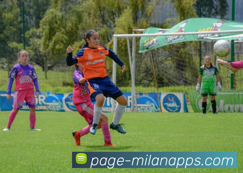 米兰体育服务体系